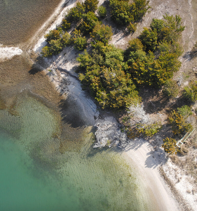 Governor Cooper Signs Executive Order Setting Statewide Conservation Goals for Forests and Wetlands